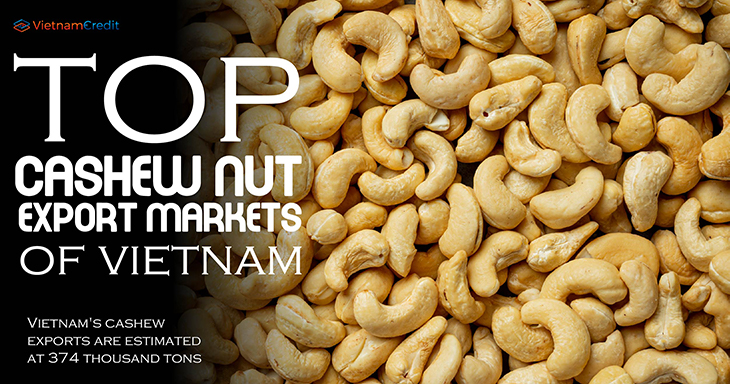 Top cashew nut export markets of Vietnam